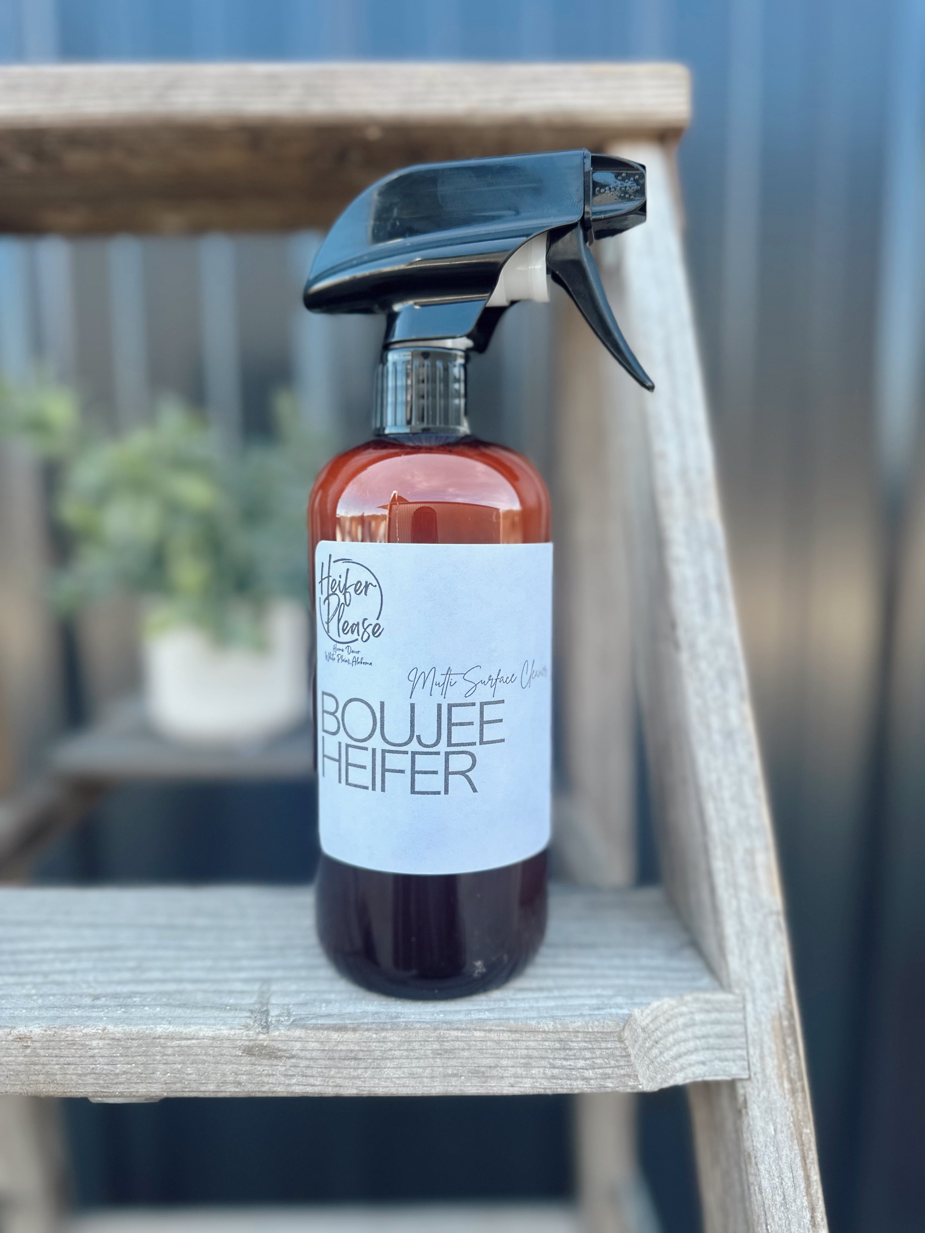 Multi Surface Cleaner