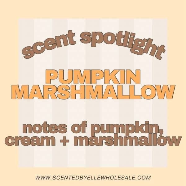 Pumpkin Marshmallow Car Defuser
